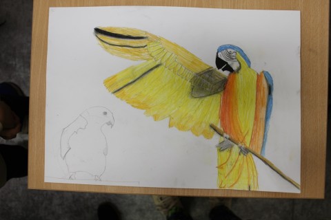 Zajęcia z rysunku dla dzieci 8-12 lat