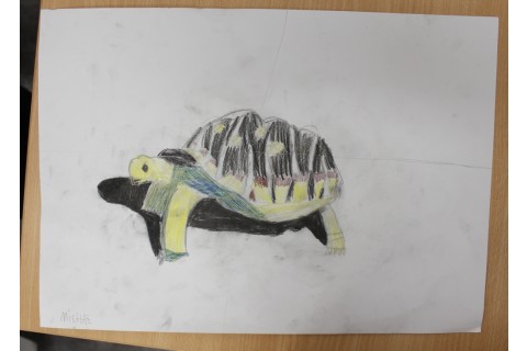 Zajęcia z rysunku dla dzieci 8-12 lat