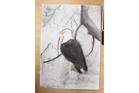 Zajęcia z rysunku dla dzieci 8-12 lat