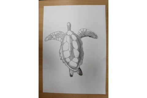 Zajęcia z rysunku dla dzieci 8-12 lat