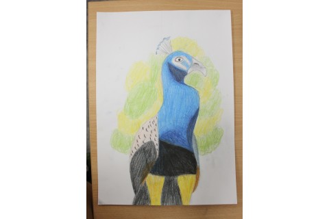 Zajęcia z rysunku dla dzieci 8-12 lat