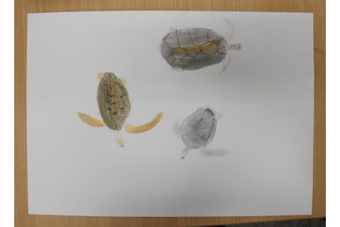 Zajęcia z rysunku dla dzieci 8-12 lat