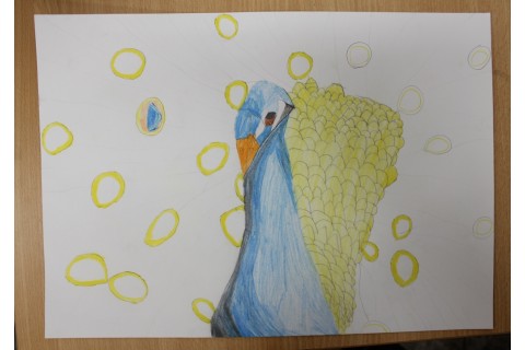 Zajęcia z rysunku dla dzieci 8-12 lat