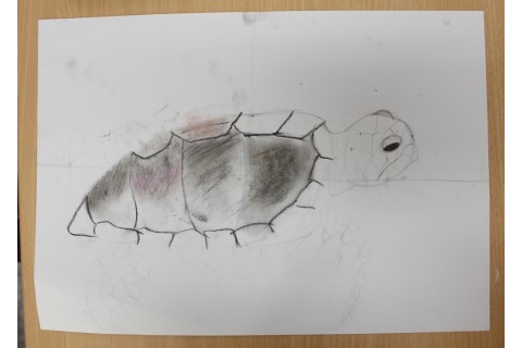 Zajęcia z rysunku dla dzieci 8-12 lat