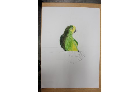 Zajęcia z rysunku dla dzieci 8-12 lat