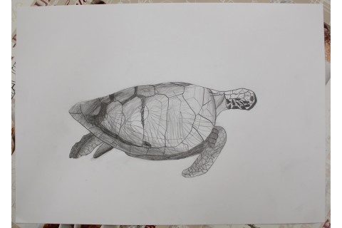 Zajęcia z rysunku dla dzieci 8-12 lat