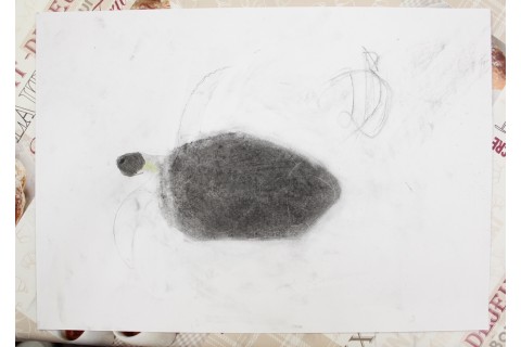 Zajęcia z rysunku dla dzieci 8-12 lat