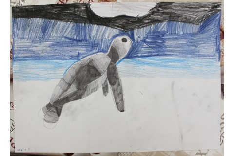 Zajęcia z rysunku dla dzieci 8-12 lat