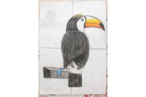 Zajęcia z rysunku dla dzieci 8-12 lat