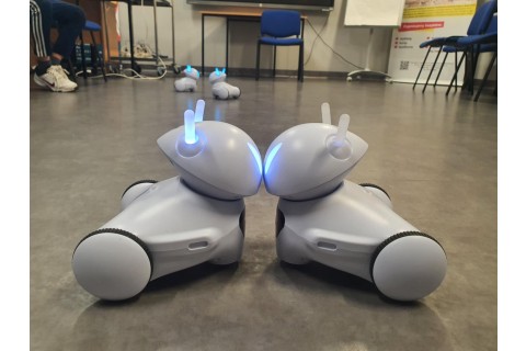 Trening pamięci - warsztaty z robotem Photon dla dzieci 10 - 12 lat