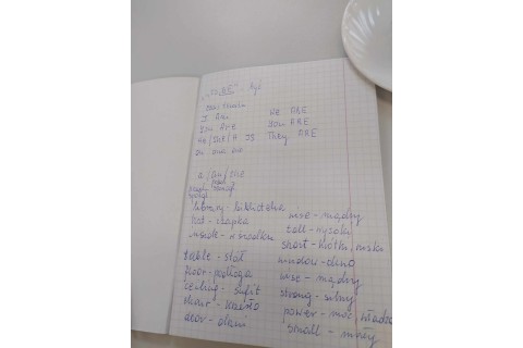 Zajęcia j. angielskiego dla seniorów