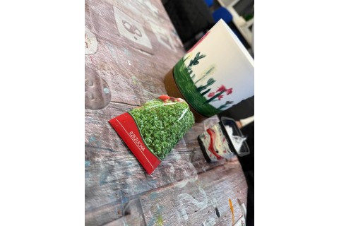 Warsztaty kreatywne dla dzieci 7+ Malowanie doniczek i sianie rzeżuchy