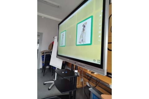 Zajęcia j. angielskiego dla dzieci 5-6 lat