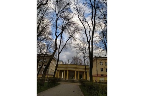 SPACER Śladami  Branickich po Białymstoku