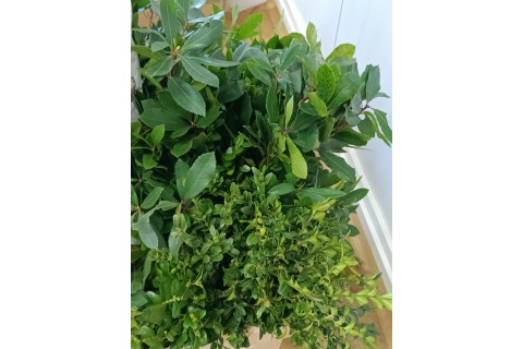 WARSZTATY FLORYSTYCZNE KOMPOZYCJE WIOSENNO - WIELKANOCNE