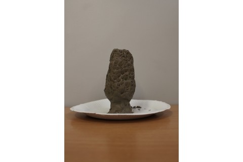 Zajęcia plastyczne dla dzieci 8 -12 lat