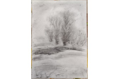 Warsztaty rysowania węglem dla seniorów