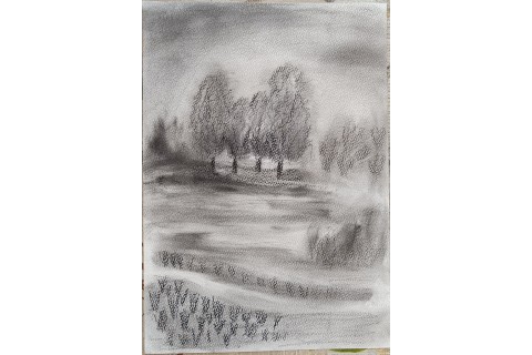 Warsztaty rysowania węglem dla seniorów