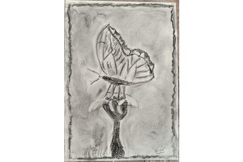 Warsztaty rysowania węglem dla seniorów