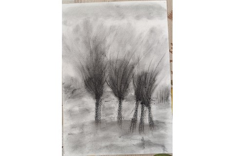 Warsztaty rysowania węglem dla seniorów