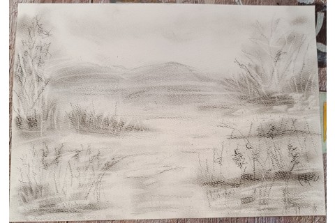 Warsztaty rysowania węglem dla seniorów