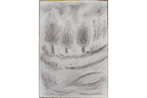 Warsztaty rysowania węglem dla seniorów