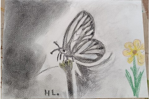 Warsztaty rysowania węglem dla seniorów