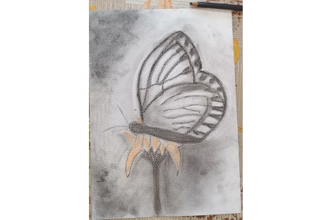 Warsztaty rysowania węglem dla seniorów