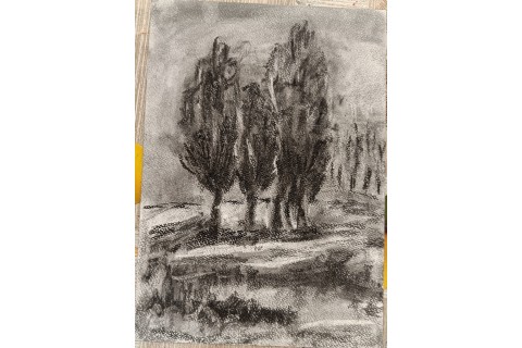 Warsztaty rysowania węglem dla seniorów