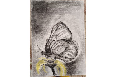 Warsztaty rysowania węglem dla seniorów