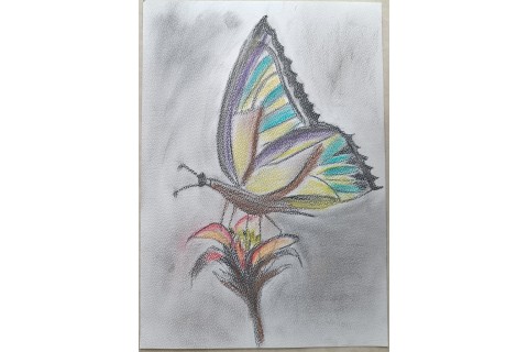 Warsztaty rysowania węglem dla seniorów