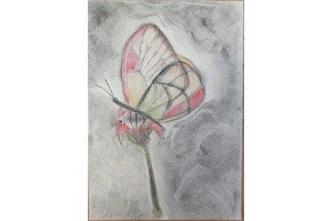 Warsztaty rysowania węglem dla seniorów