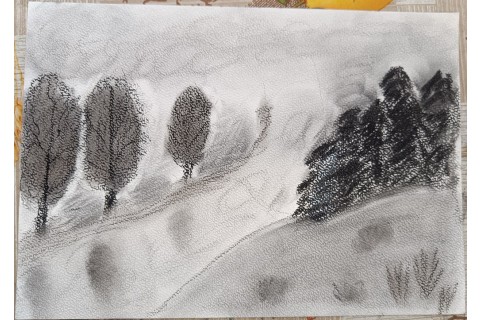 Warsztaty rysowania węglem dla seniorów