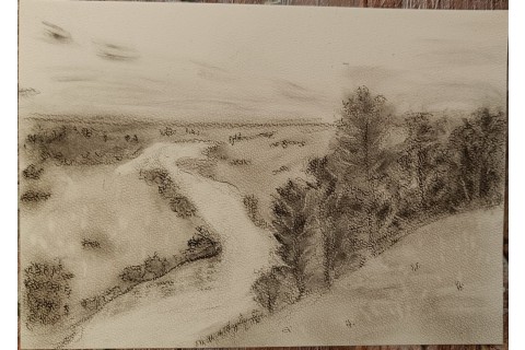 Warsztaty rysowania węglem dla seniorów