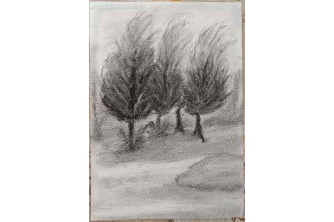 Warsztaty rysowania węglem dla seniorów