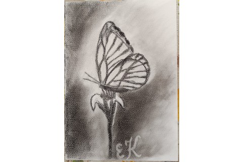 Warsztaty rysowania węglem dla seniorów