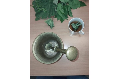 Warsztaty zielarskie - „Moc ukryta w nasionach i liściach”