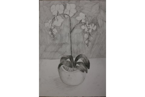 Zajęcia plastyczne dla dzieci 8 -12 lat