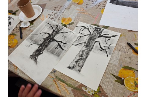 Warsztaty malarstwa dla seniorów - rysunek węglem