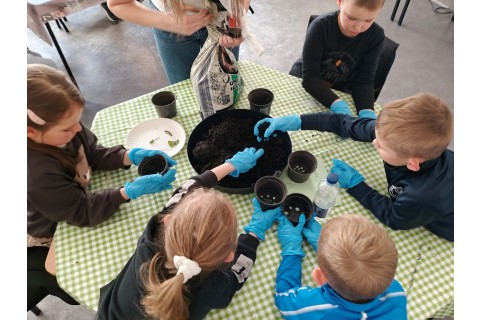 Warsztaty edukacyjno-przyrodnicze dla dzieci „Zielona baza małego ogrodnika”