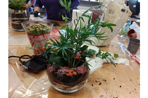 Warsztaty florystyczne dla seniorów - Las w szkle