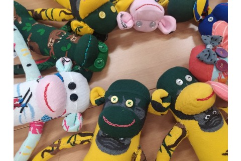 Charytatywna akcja szycia małpek