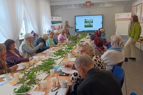Warsztaty zielarskie dla seniorów - Młode listki