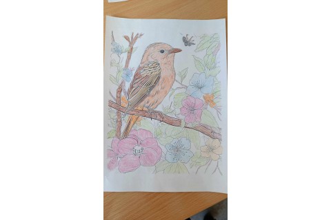 Czwartkowe spotkania Seniorów przy kawie i herbacie