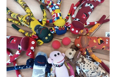 Charytatywna akcja szycia małpek