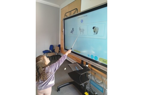 Zajęcia j. angielskiego dla dzieci 5-6 lat