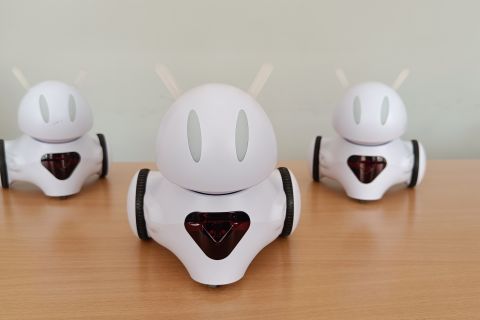 Trening pamięci - warsztaty z robotem Photon dla dzieci 10 - 12 lat