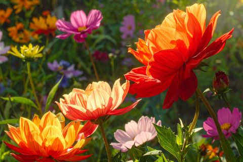 Warsztaty „Rabata krok po kroku” 