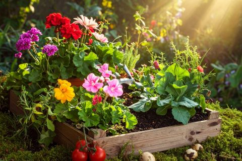 Warsztaty edukacyjno-przyrodnicze „Zielona baza małego ogrodnika” 